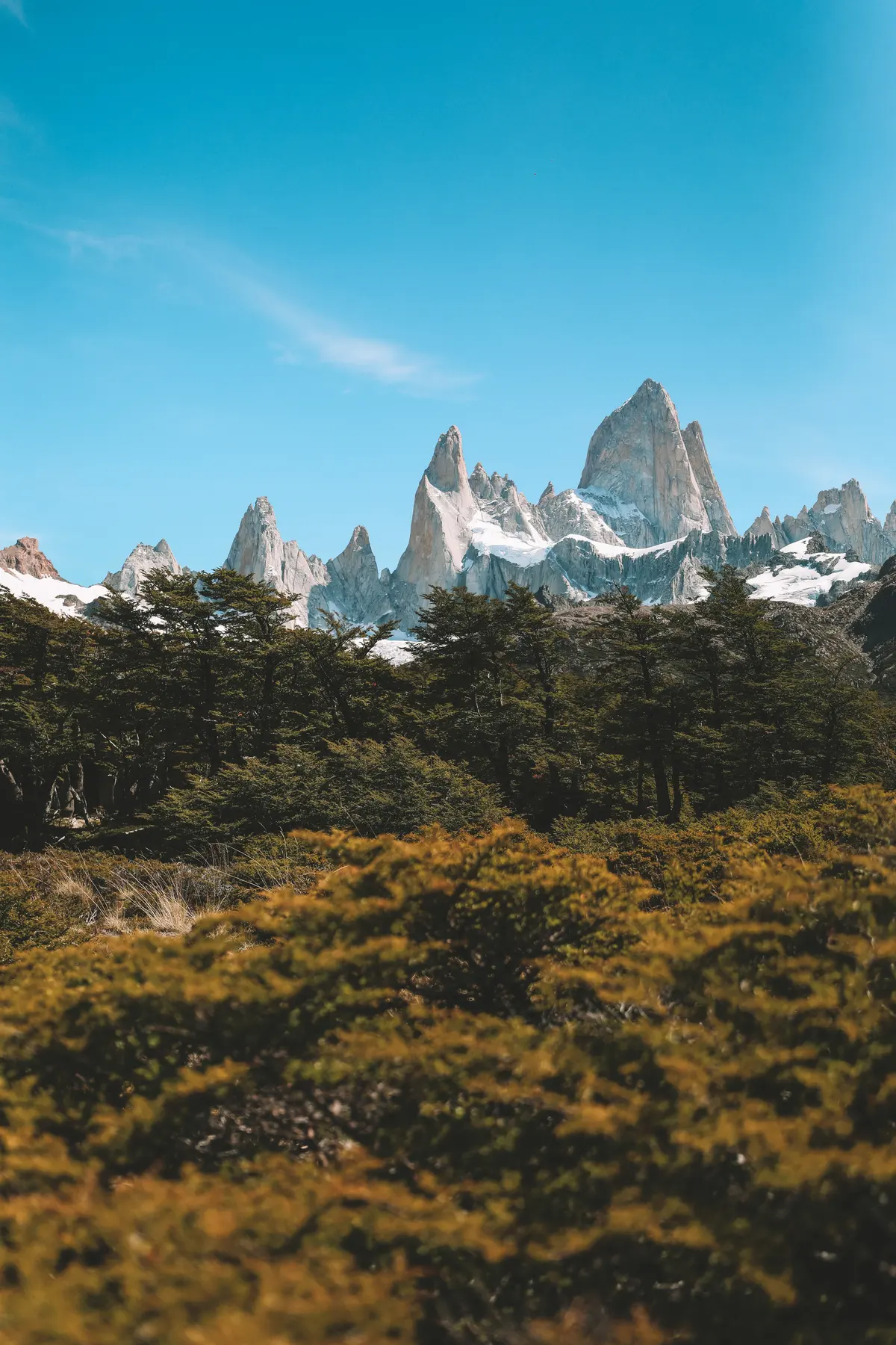 Lenga forest with Fitz Roy behind, on the way